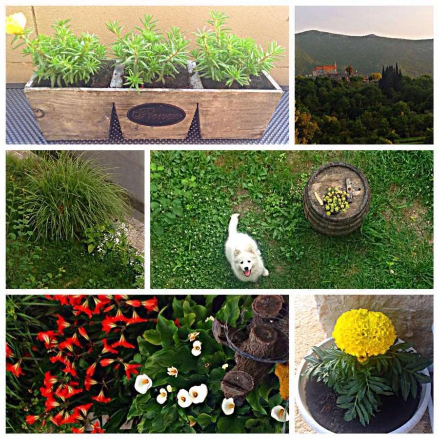 Ostrvica Apartment Mari מראה חיצוני תמונה